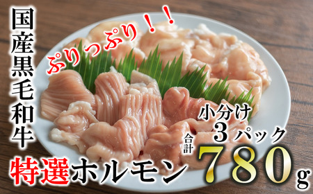 【国産黒毛和牛】特選ホルモン780g　260g×3パック 小分け (10-67)
