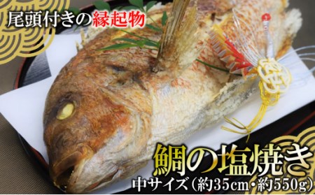 [尾頭付きの縁起物] 活塩焼き鯛(中サイズ) 1匹(約35㎝・約550g) (15-49)