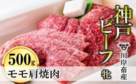 [神戸牛 牝]モモ肩焼肉用:500g 川岸畜産 (22-20)[冷凍]