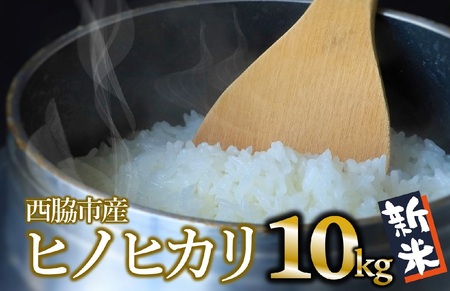 [ヒノヒカリ]令和6年産 新米 白米10kg