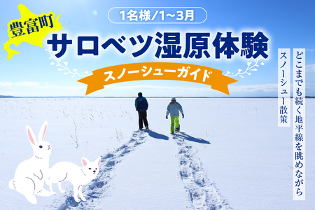 サロベツ湿原体験!スノーシューガイド 1名様 [1〜3月] (スノーシューレンタル料込 オリジナルカレンダーのお土産付き 北海道 冬 ウィンター 散策 体験 旅行 豊富町 サロベツ)