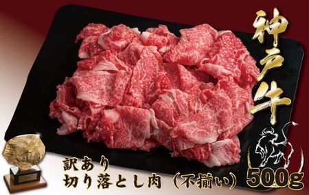 神戸牛(神戸ビーフ)訳あり 切り落とし肉(ばら・もも・かた) 500g