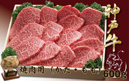 _ˋ(_˃r[t) ēpiEj@600