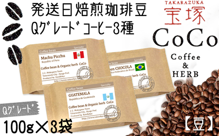 [宝塚]Qグレード珈琲3種類 当日自家焙煎珈琲100g×3種[豆]