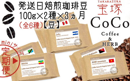 [宝塚]miniサイズ3ヶ月定期便C(当日自家焙煎珈琲6種 計600g)[豆]