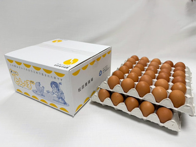 [オーイ!とんぼ×松田養鶏場コラボパッケージ]産地直送 松田養鶏場のひょうごの赤たまご60個(50個+割れ補償10個)