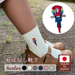 おはなし靴下 ギフトボックス アカコンゴウインコ キッズ グリーン