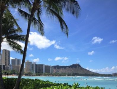 yỹR[q[znCEJCR[q[100% 300gî܂܁j