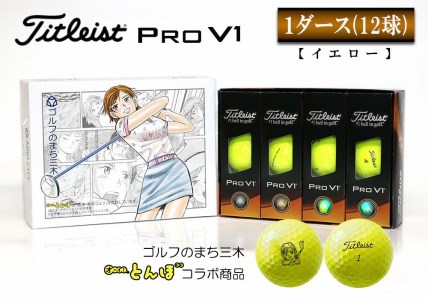 海外輸入 ふるさと納税 V1x」八千代市公認やっちプリントゴルフボール