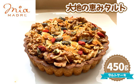 大地の恵みタルト450g