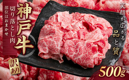 󂠂 _ˋi_˃r[tj ؂藎Ƃ 500g KNS1 ӂ邳Ɣ[ _ˋ _˃r[t uha 󂠂 A  傫s 500g Y a ؂藎 ؗ c Ɍ _ VN