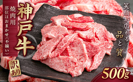 󂠂 _ˋ(_˃r[t) ēpisj500g KNY1 ӂ邳Ɣ[ _ˋ _˃r[t uha 󂠂 A  傫s500g Y a ؂藎 ؗ ē Ă c 