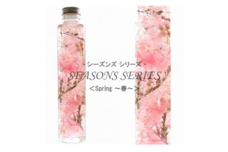 No.014-01 四季のハーバリウム〜 SEASONS SERIES 〜 Spring(春)