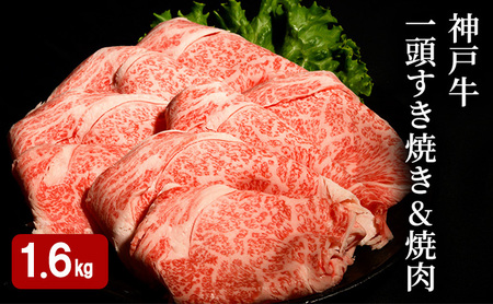 神戸牛 一頭 すき焼き & 焼肉 計 1.6kg ( ロース ・ もも ・ かた ・ ばら 各400g)