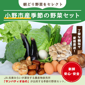 小野市産季節の野菜セット!