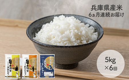 y6A͂zĐlꉟIɌY5kg×1 Hה   RVqJ qmqJ LkqJ U U