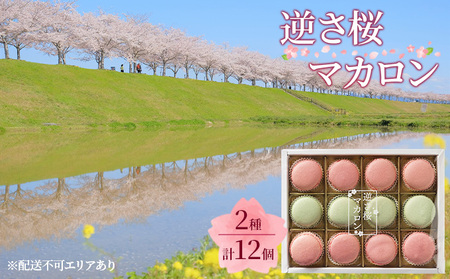 逆さ桜 マカロン 2種 食べ比べ 計12個[ スイーツ 洋菓子 焼菓子 ]