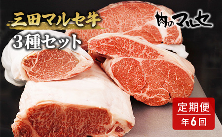 三田 マルセ牛 定期便 ( 年6回コース ) 勢戸 牛肉 ギフト 肉 お祝い 但馬牛 神戸牛 三田牛 数量限定 訳あり ふるさと納税 ふるさと 人気 おすすめ 送料無料 兵庫県 三田市