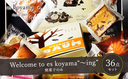 [ふるさと納税] Welcome to es koyama“〜ing" ( 焼き菓子のみ サブレ×18枚 / 焼き菓子×18個 ) エスコヤマ コヤマ お祝い 贈答品 中元 歳暮 数量限定 期間限定 人気 おすすめ 送料無料 兵庫県 三田市