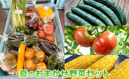 おおにし農園の夏のおまかせ野菜セット　三田市産　