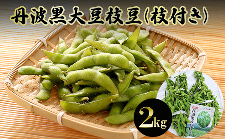 丹波黒大豆枝豆(枝付き)2kg[ 野菜 えだまめ 黒大豆 旬の野菜 三田市 ]