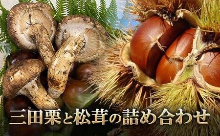 [ふるさと納税] 三田栗 2L (1kg) 三田 松茸 (等級混合約200g) の詰め合わせ 栗 まつたけ 秋の味覚 きのこ キノコ 旬の野菜 贈答品 贈り物 ギフト 食品 ギフト ふるさと納税 ふるさと 人気 おすすめ 送料無料 兵庫県 三田市 [3d28bae460003]