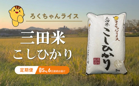 [定期便] 令和6年度産 三田米 コシヒカリ 5kg 6ヶ月連続 こめ コメ お米 白米 こしひかり 数量限定 訳あり ふるさと納税 ふるさと 人気 おすすめ 送料無料 兵庫県 三田市