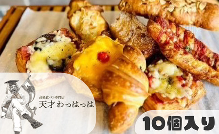 パン 備蓄 保存パン おまかせ色々小物パン10個セット(冷凍) 冷凍パン フランス産 バター デニッシュ クロワッサン [3d28bae530000]