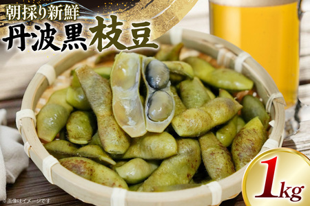 丹波黒 枝豆 1kg【2025年10月前半～10月後半配送】  [SSSファーム 兵庫県 三田市 3d28bed520001]