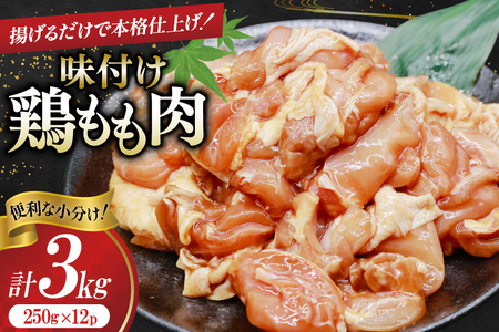 {  t 3kg(250g×12p) g Ă₫p [it[YEVXe Ɍ Ocs 3d28bdy500005]