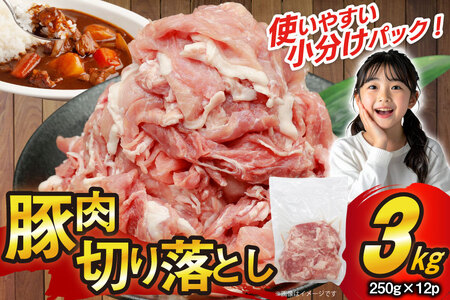豚肉 切り落とし 250g 12p 計3kg [司フーズ・システム 兵庫県 三田市 3d28bdy500012]