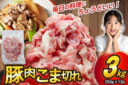 豚肉 こま切れ 250g 12p 計3kg [司フーズ・システム 兵庫県 三田市 3d28bdy500010]
