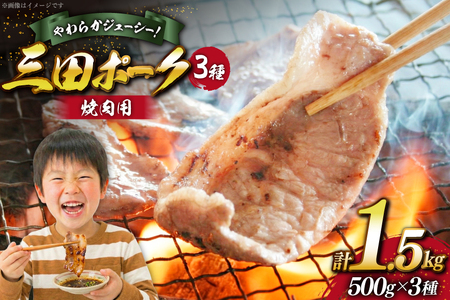 豚肉 小分け 兵庫県産 三田ポーク 焼肉用 3種 500g 計 1.5kg ロース 肩ロース バラ セット [パスカルさんだ 兵庫県 三田市 3d28bae660043]