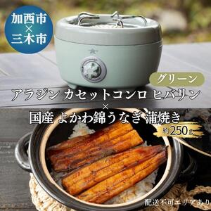 アラジン カセットコンロ ヒバリン グリーン 緑 国産 よかわ錦うなぎ 蒲焼き 約250g セット 詰め合わせ SAG-HB01FG うなぎ 鰻蒲焼 ポータブルガスコンロ キャンプ アウトドア用品 キャンプ用品 調理家電 家電 日用品 加西市 × 三木市