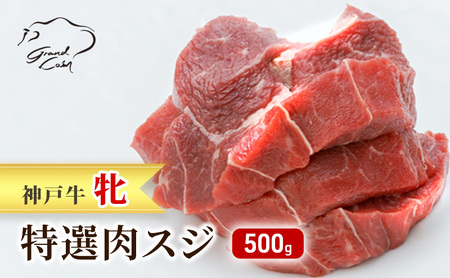 神戸ビーフ 神戸牛 牝 特選肉スジ(角切りカレー煮込み用) 500g 川岸畜産 煮込み おでん カレー 冷凍 肉 牛肉 すぐ届く 小分け