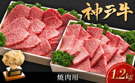 神戸ビーフ KSYS5 焼肉 用セット 神戸牛 焼肉 太田家 冷凍 肉 牛肉 小分け