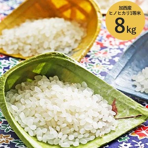 米 令和5年産 加西産 ヒノヒカリ 1等米 8kg(白米)