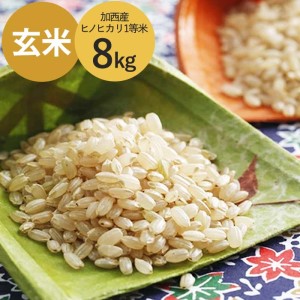 米 令和5年産 加西産 ヒノヒカリ 1等米 8kg(玄米)