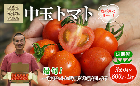 [最旬お届け確約]3ヶ月連続 よしよし畑のあま〜い トマト ( 中玉トマト ) 800g 〜 1kg 計約3kg 程度 新鮮 産地直送 とまと 頒布会 定期便 おいしい おすすめ ギフト お取り寄せ