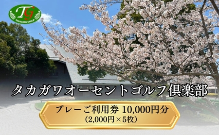 ^JKI[ZgSty St p 10,000~ (2,000~×5) Sp St v[ p  N[| Ɍ s