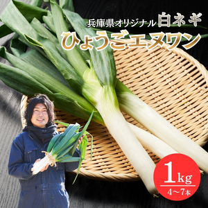 数量限定 テレビで話題! 極上 ひょうごエヌワン 白ネギ 1kg 4〜7本 エヌワン ねぎ 長ネギ 兵庫県 加西市