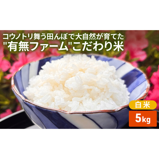 米 コウノトリ舞う田んぼで大自然が育てた"有無ファーム"こだわり米 白米 5kg 精米 お米 栽培期間中農薬・化学肥料不使用