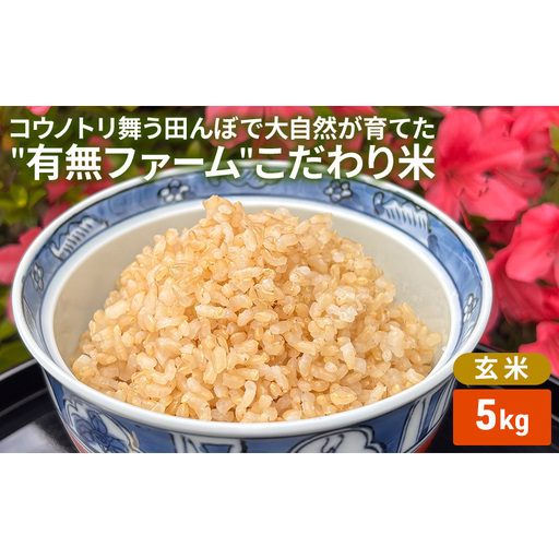 米 コウノトリ舞う田んぼで大自然が育てた"有無ファーム"こだわり米 玄米 5kg お米 栽培期間中農薬・化学肥料不使用