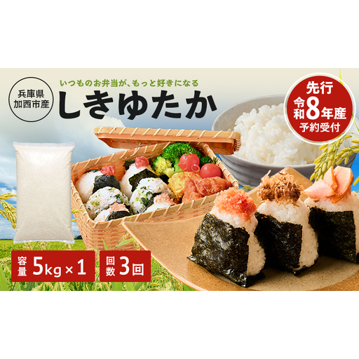 定期便 米 令和8年産 先行受付 しきゆたか 白米 5kg 3か月連続お届け お米 精米 単一原料米 お弁当 おにぎり 冷めても美味しい 農業支援 就労者支援 日用品