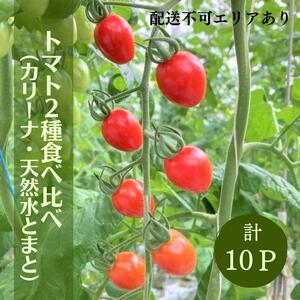 トマト 2種 食べ比べ ( カリーナ ・ 天然水トマト )計10パック