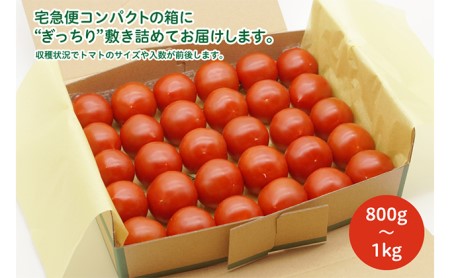 よしよし畑のあま〜い トマト ( 中玉トマト ) 800g〜1kg程度