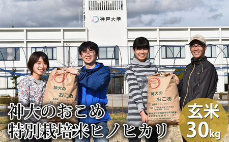 米 [令和7年産]神大のおこめ(特別栽培米ヒノヒカリ)玄米30kg お米