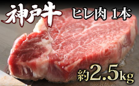 神戸牛 ヒレ肉 1本(約2.5kg) キャンプ BBQ アウトドア ホームパーティー ローストビーフ 神戸ビーフ
