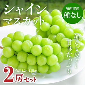 兵庫県産 シャインマスカット 2房セット(約1.2〜1.5kg)種無し 皮ごと 大粒 農家直送 数量限定