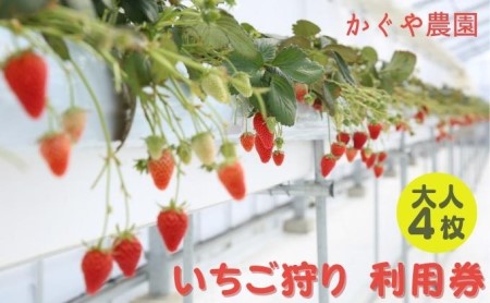 ������_�� ��������� ���p�� ��l4���s2025�N12��10���`2026�N5��31�������p�\�t �̌��`�P�b�g ��������茔 ���ݍ͔| �������H�ו��� �t���[�c��� ���o����